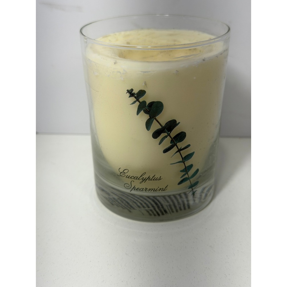 Bath & Body Works Aromatherapy Eucalyptus Spearmint Stress Relief Candle 10oz